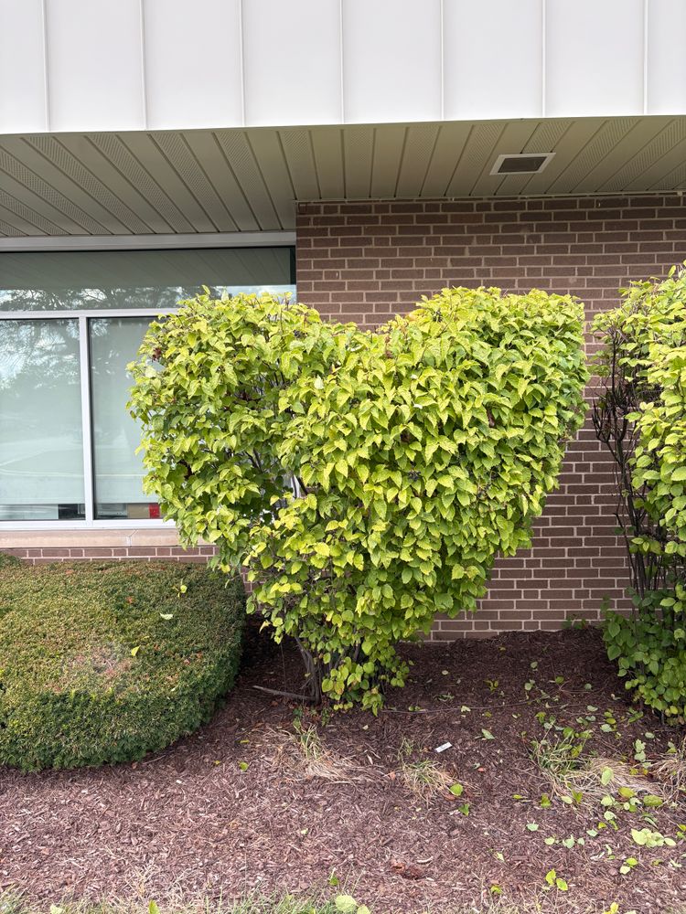 All Photos for From the Ground Up Landscaping & Lawncare in New Lenox, IL