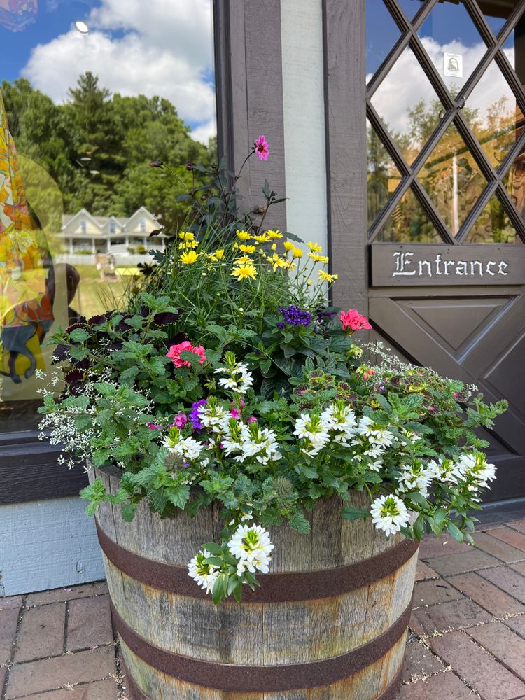 Container Gardening for Sustainable Lawn and Landscape in Banner Elk, NC
