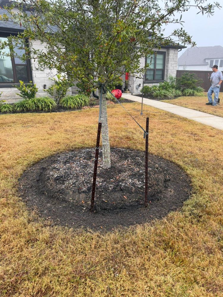 All Photos for Texas Curb N Borders in Houston, TX