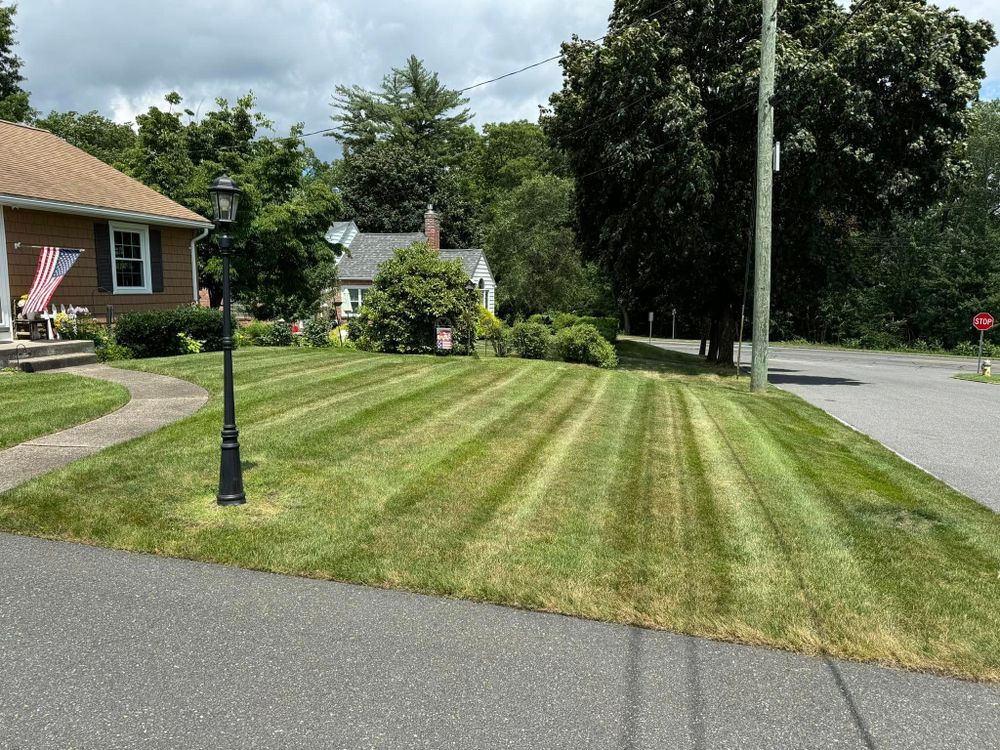 All Photos for Adams Landscaping in Springfield, MA
