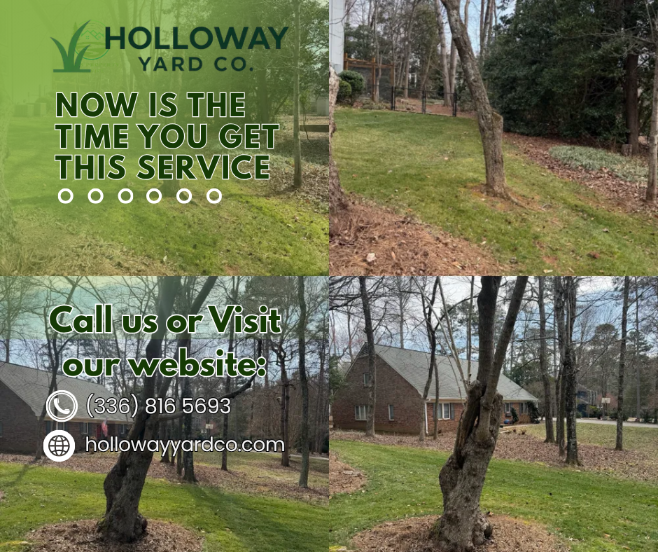 All Photos for Holloway Yard Company in Winston-Salem, NC