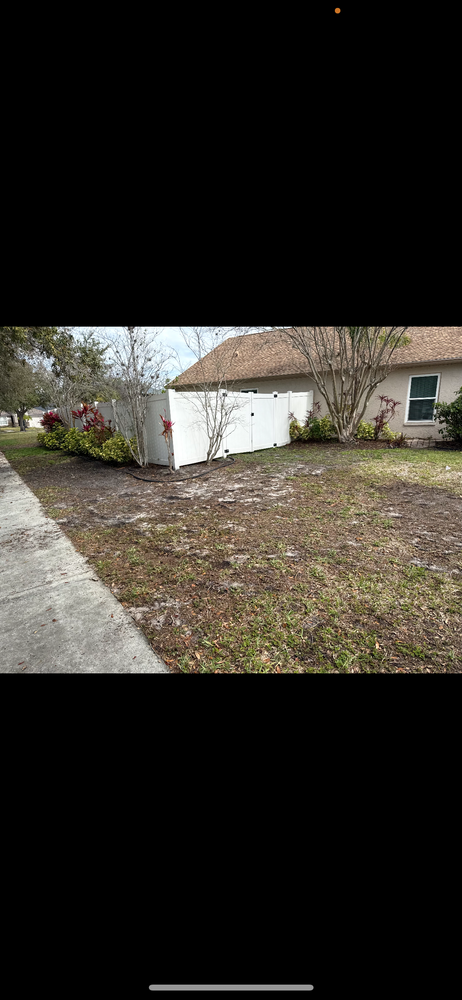 All Photos for Gulf Bay Sod in Clearwater, FL