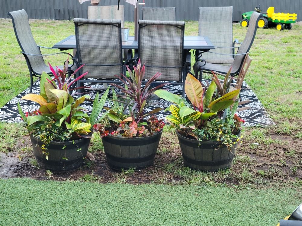 Plant arrangements  for Lawn Caring Guys in Cape Coral, FL