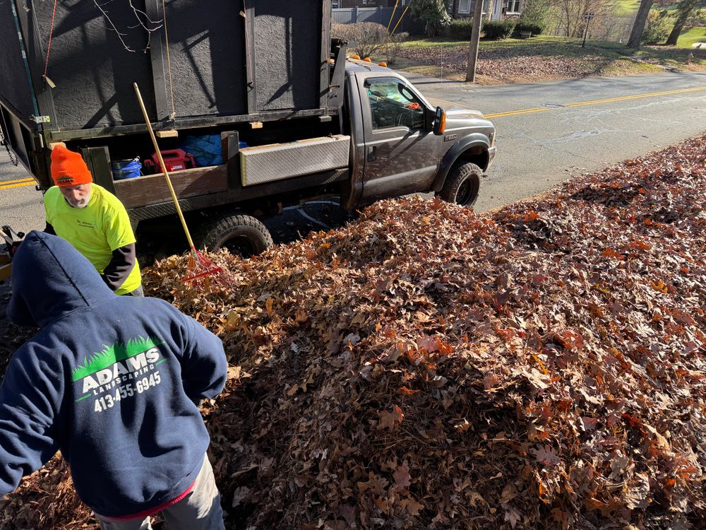 All Photos for Adams Landscaping in Springfield, MA