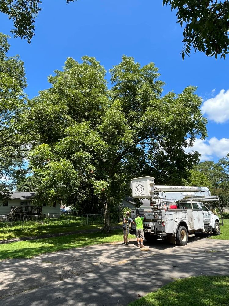 Tree Removal for Big Rock Tree Removal LLC in Boaz, AL