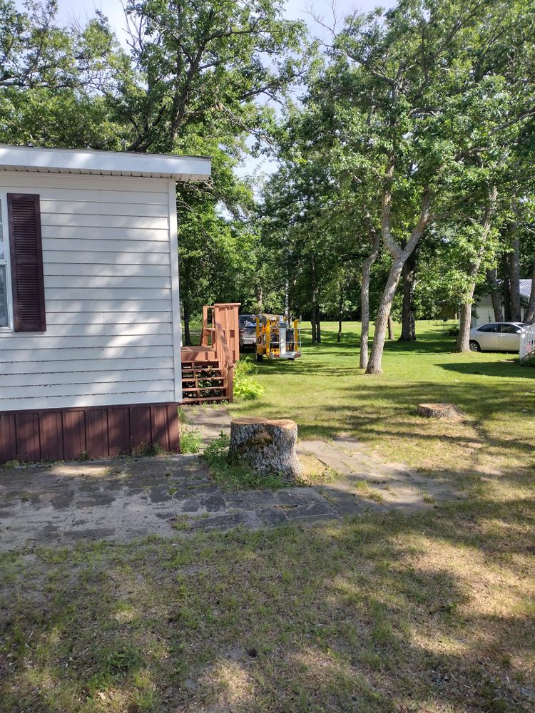 Tree Removal for Dan's tree service in Bemidji, MN