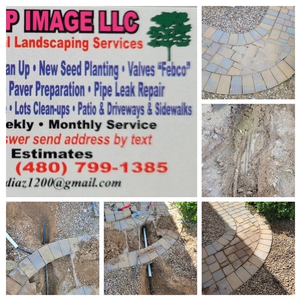 All Photos for Sharp Image LLC Landscaping & Hardscape in Phoenix, AZ