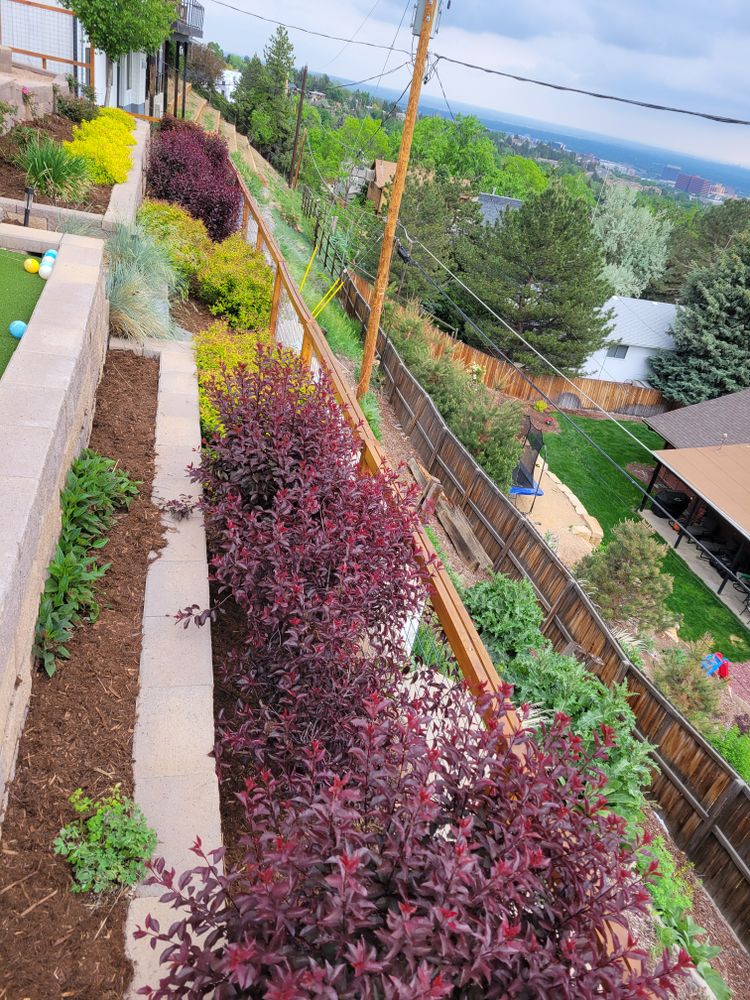 All Photos for JS Landscaping Colorado in Denver, CO