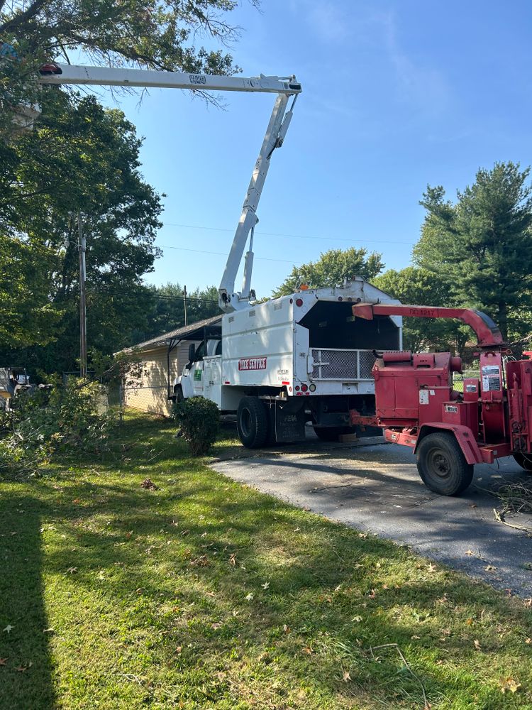 All Photos for Optimum Tree Service And Landscaping in Bowling Green, KY