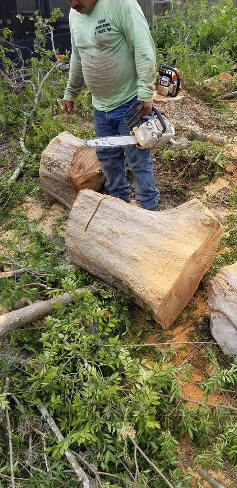 Landscaping for Tezna Landscaping, Trees & Pavers in Valrico, FL