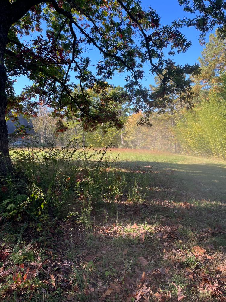 All Photos for J.P Landscaping and excavation in Chattanooga, TN