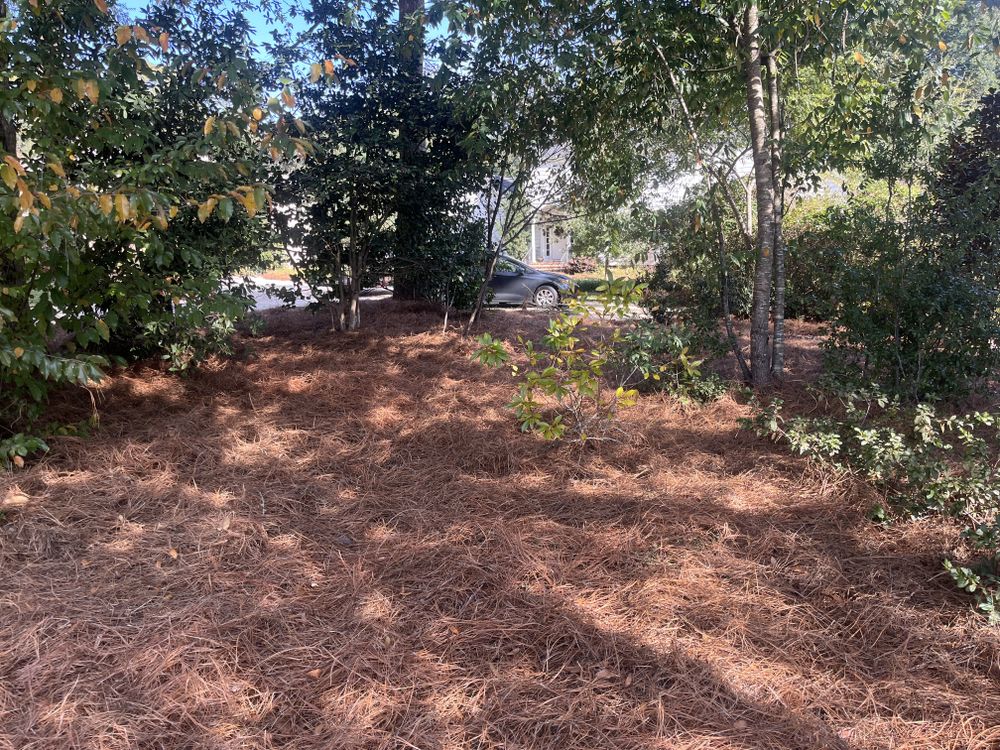 All Photos for All-Star Lawn Care & Soft Washing in Mobile, AL