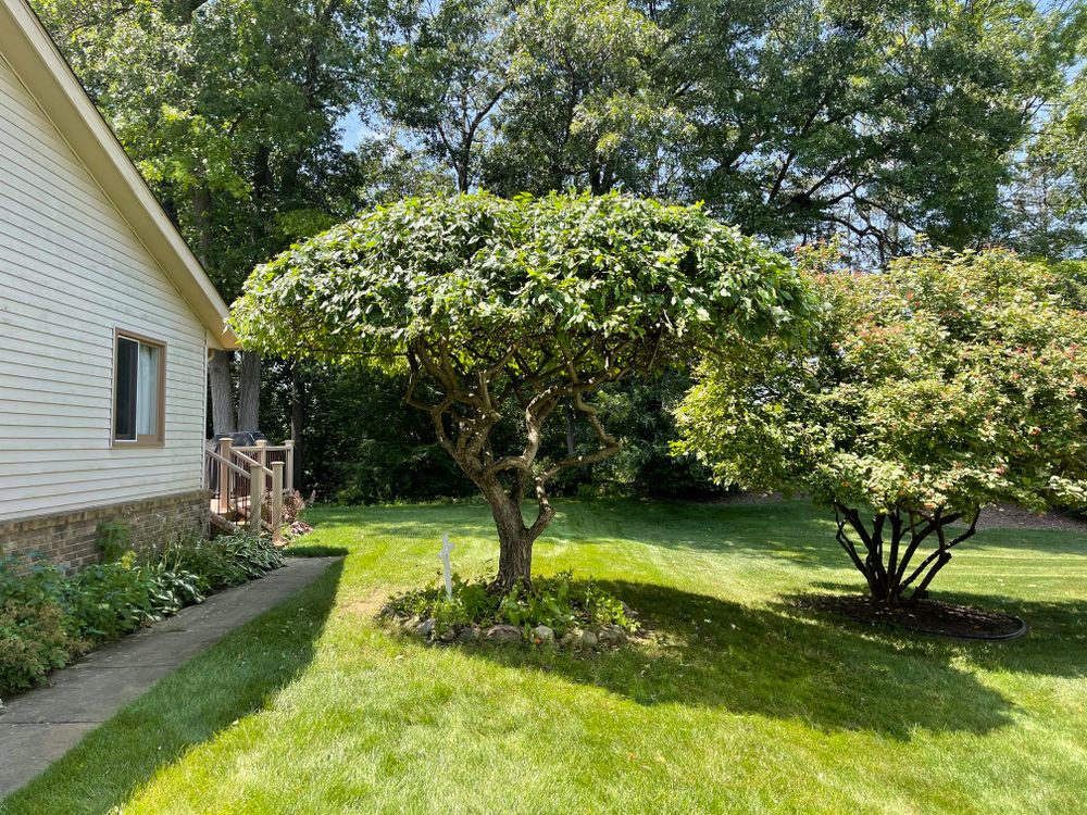 Landscape Maintenance for Steed's Lawn and Landscape LLC in White Lake, MI