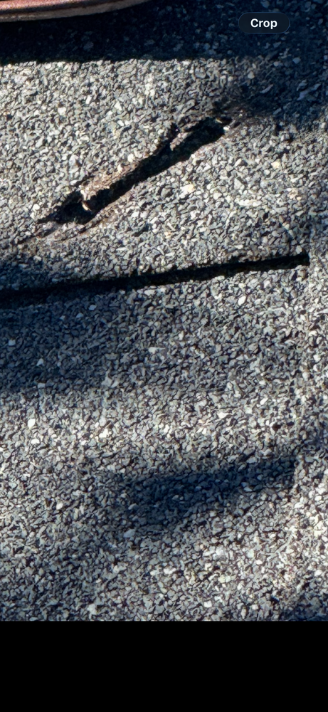 All Photos for Roofing By Eubanks Home Improvements in Lancaster County, SC