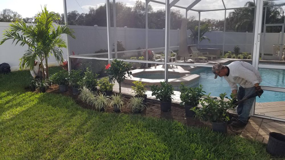 Landscaping for Tezna Landscaping, Trees & Pavers in Valrico, FL