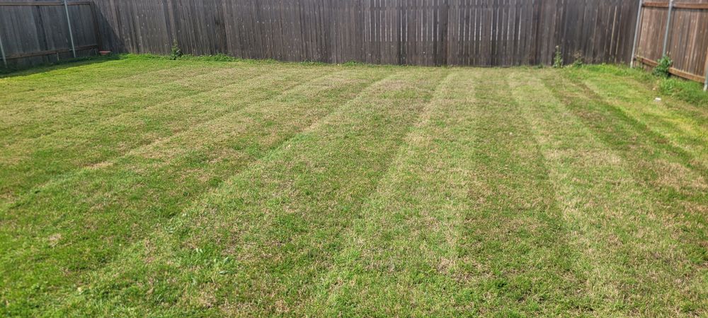 All Photos for Texican JLS in Manor, TX