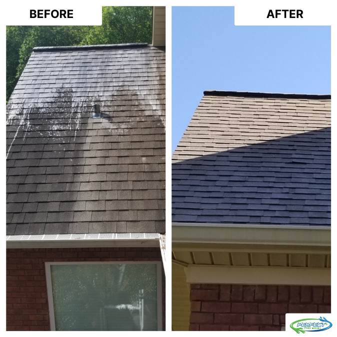 All Photos for Perfect Pro Wash in Oxford, AL