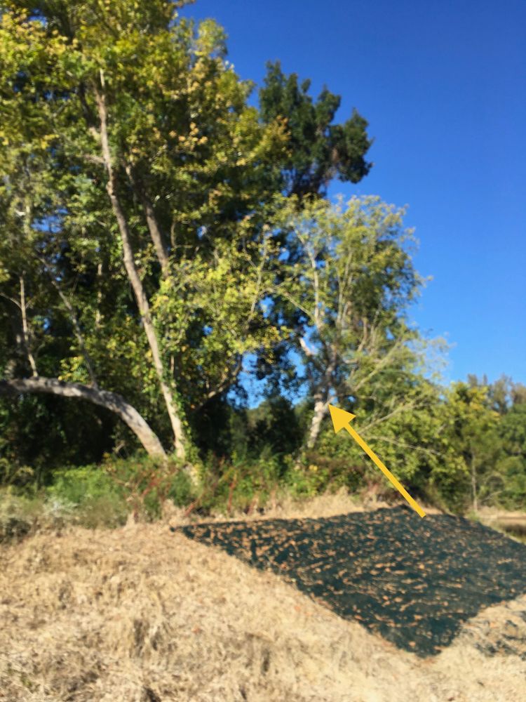 All Photos for Tucker's Tree Service and Stump Grinding in Lugoff, SC