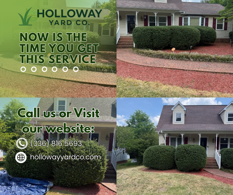 All Photos for Holloway Yard Company in Winston-Salem, NC