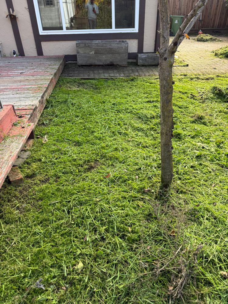 All Photos for CBA Landscaping in Hayward, CA