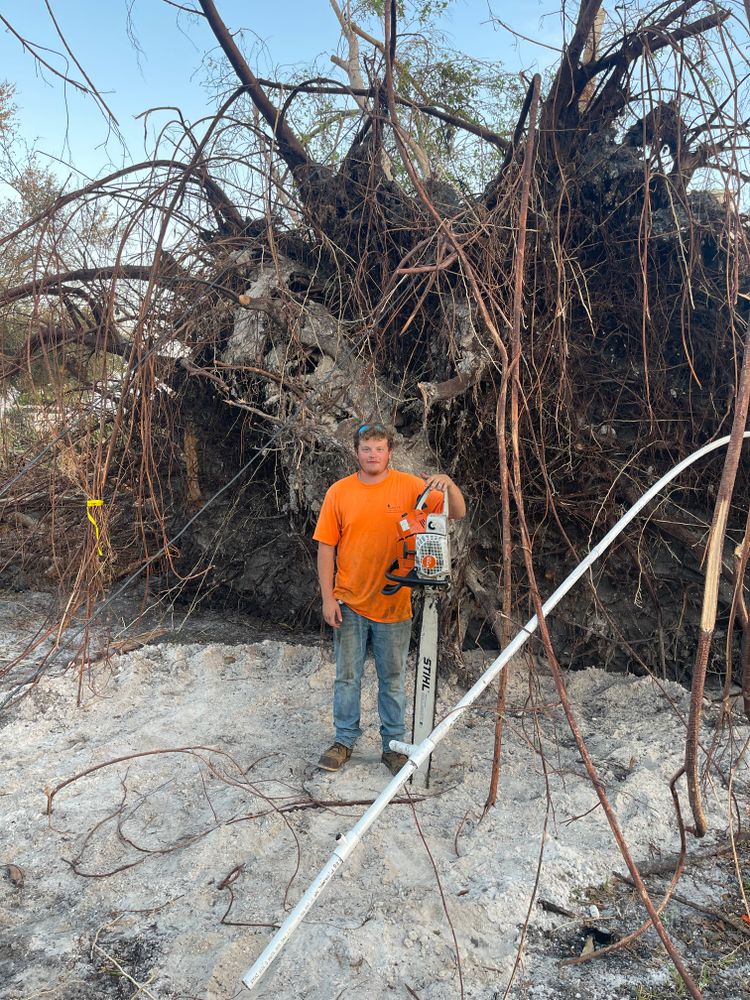 All Photos for Lucky’s Tree Removal and Landscape Services in Knoxville, TN