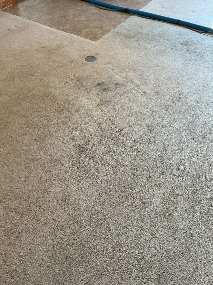 Our expert carpet cleaning service removes dirt and stains, revitalizing your carpets with deep-cleaning techniques to ensure a fresh and hygienic environment for your home. experience cleaner, healthier living spaces today! for All Clean Solutions in Bismarck, ND
