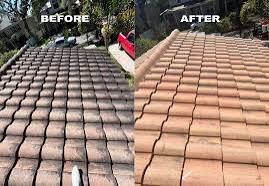 All Photos for Sunshine solutions pressure washing in Sunrise, FL