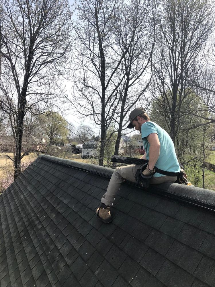 Our expert team specializes in humane bat removal from your property, ensuring a safe and effective solution to rid your home of these nocturnal pests. Trust our professional wildlife control services. for Magnolia Wildlife Solutions  in  Collierville, TN