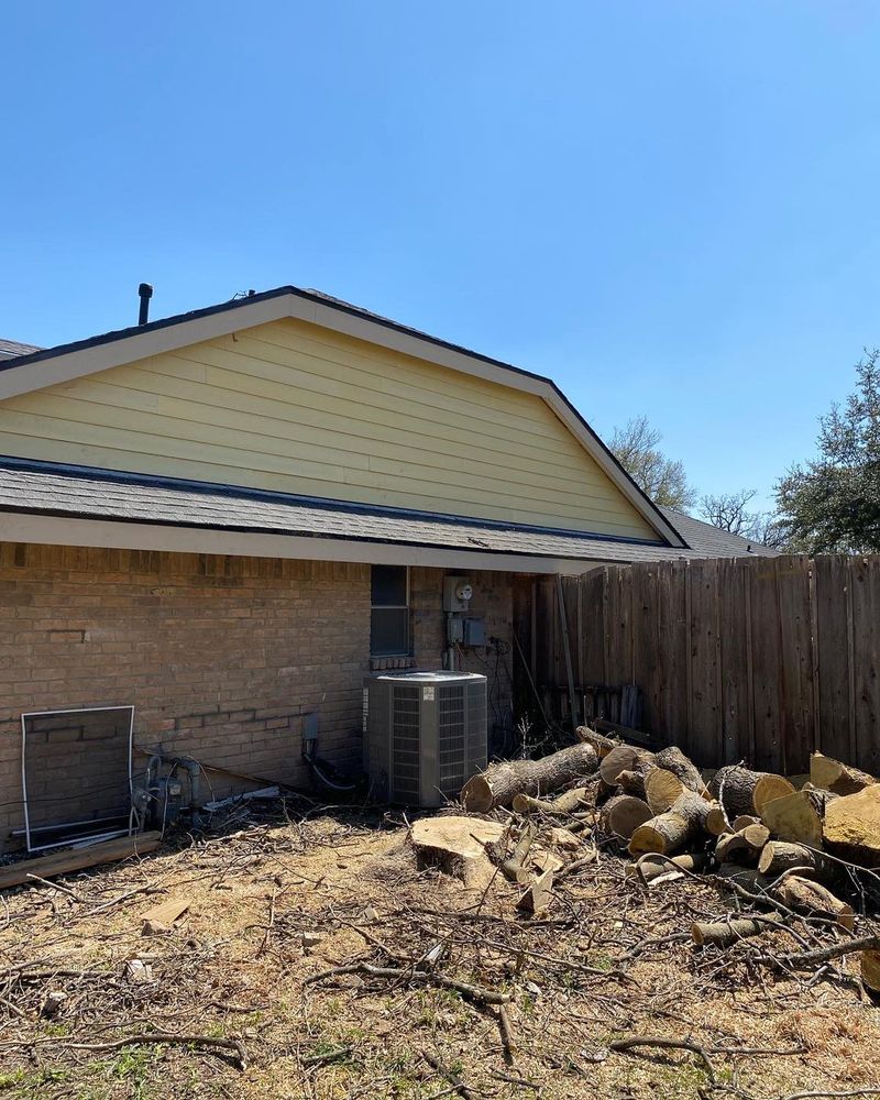 All Photos for Muniz Tree Service in North Richland Hills, TX