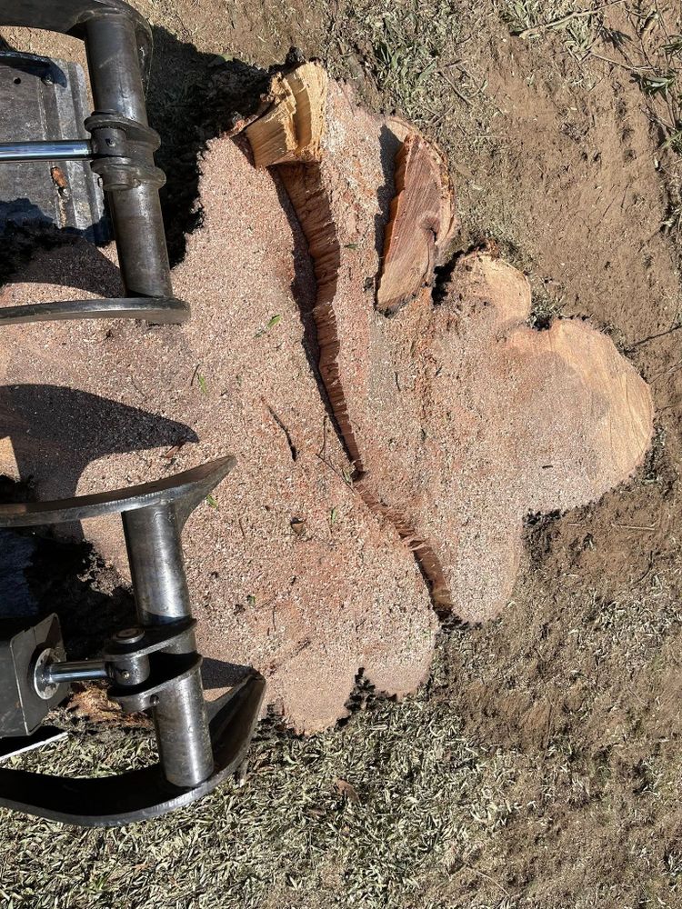 Tree Services for K-2 Tree Service in Shelby, NC