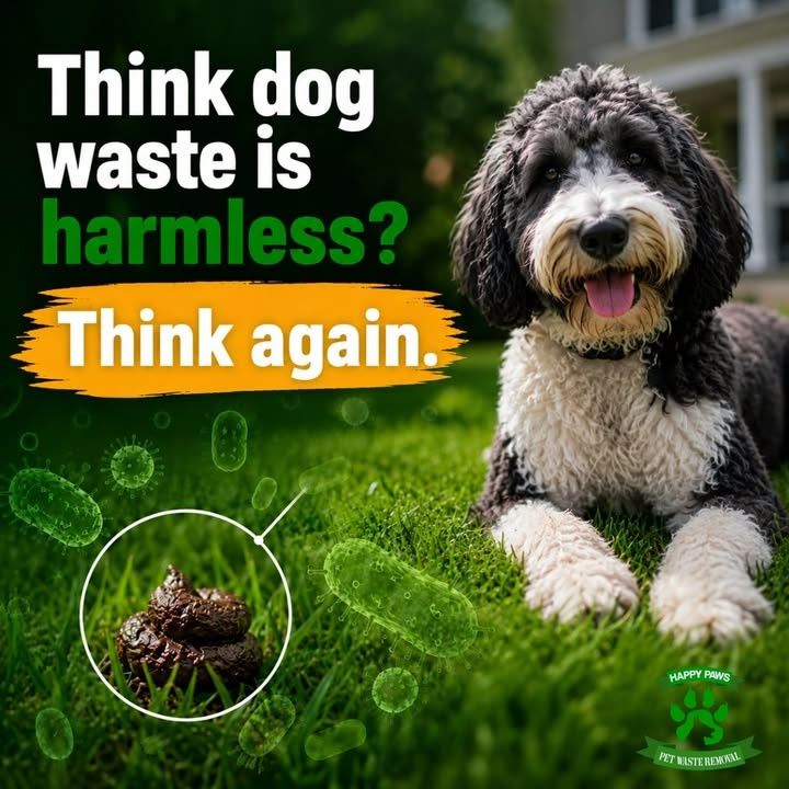All Photos for Happy Paws Pet Waste Removal in Van Alstyne, TX