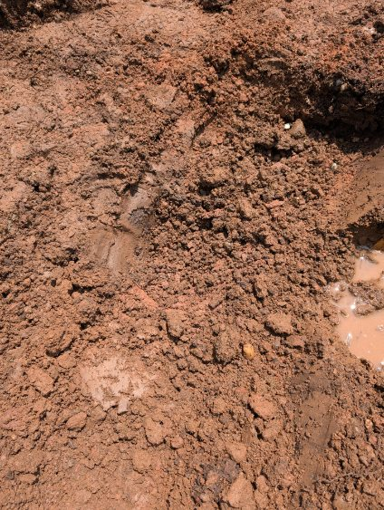 All Photos for Evolution Earthscapes, LLC in Ludlow, MA