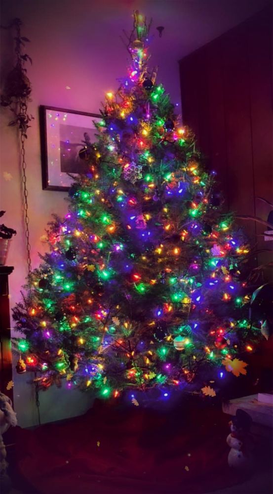 Our Garland service offers homeowners beautifully crafted, high-quality garlands that add festive charm to any space, perfect for enhancing your home's ambiance with ease during the holiday season. for Spring Creek Evergreens in Red Wing, MN