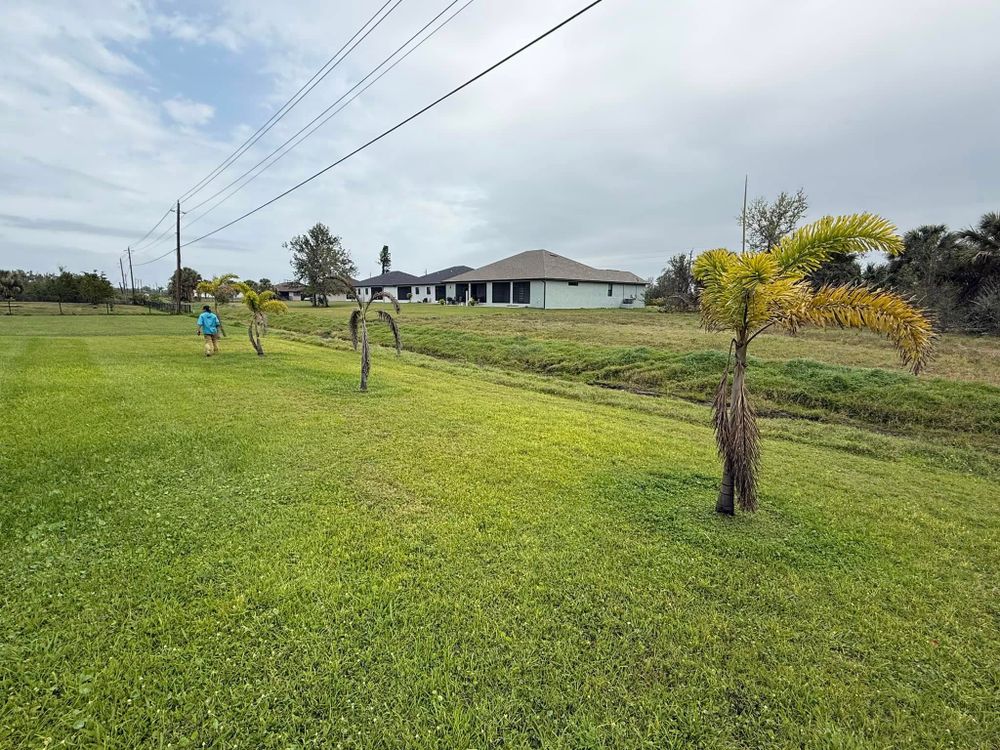 Tree Removal for MX Trees LLC in Englewood, FL