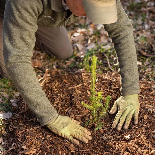 Enhance your home's landscape with our tree planting service. We ensure healthy growth and aesthetic appeal, transforming your outdoor space into a lush and inviting haven. for Sammy's Tree Services in Rancho Cordova, CA