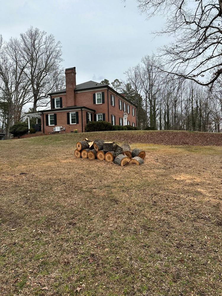 Our professional tree removal service offers safe, efficient removal of unwanted or hazardous trees, enhancing your property’s aesthetics and safety while ensuring minimal disruption to your landscape. for Ramirez Tree Care in Elkin, NC