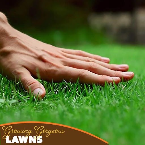 All Photos for Genluma Services Lawn Care in Vancouver, WA