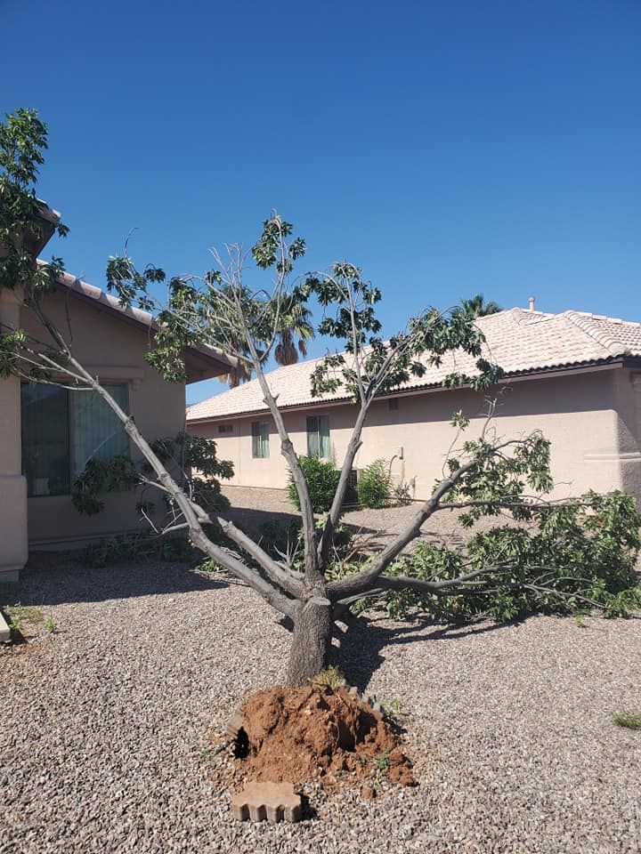 Enhance your home's curb appeal with our commercial landscaping services. Our expert team specializes in landscape and design, ensuring a beautiful, sustainable environment that complements your property perfectly. for A to Z Grounds Keeping in Sierra Vista, AZ