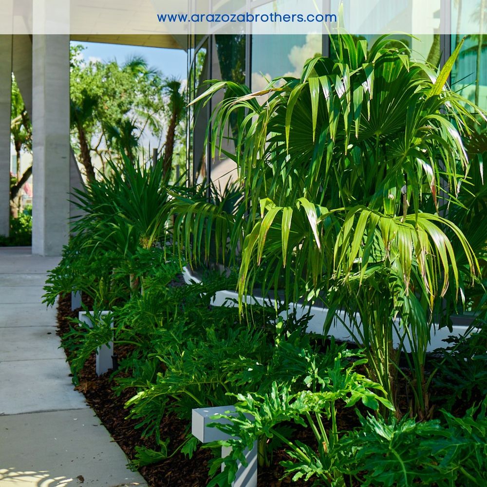 Landscape for Arazoza Brothers Corporation in Miami, FL