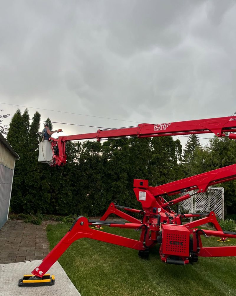 All Photos for AP Tree Service in Colbert, WA