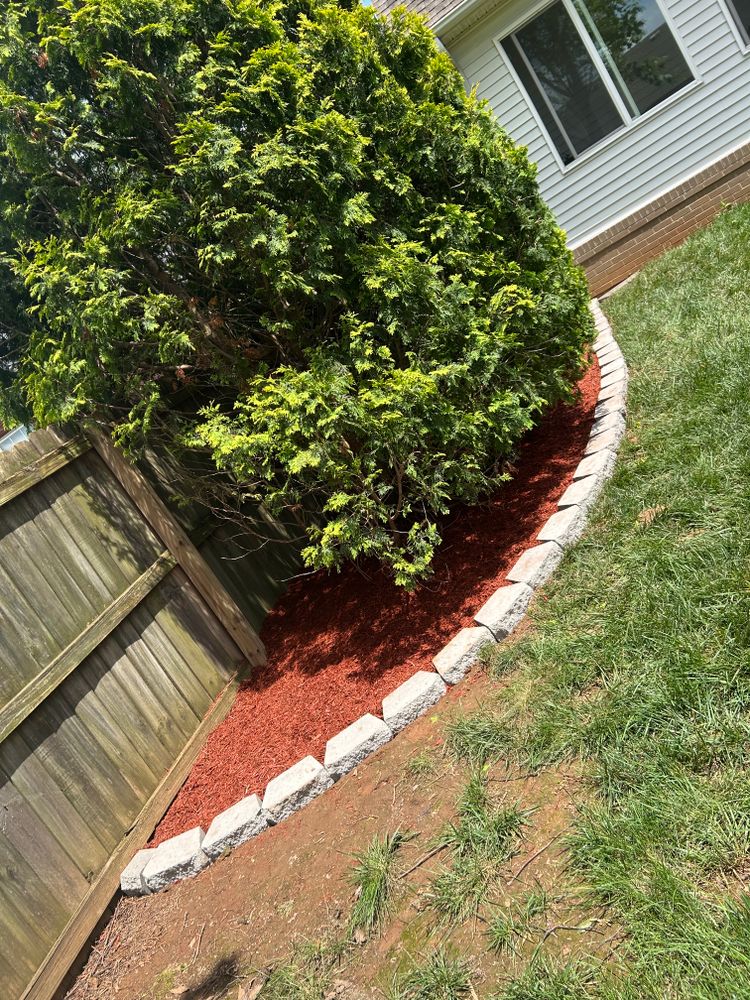 All Photos for Optimum Tree Service And Landscaping in Bowling Green, KY