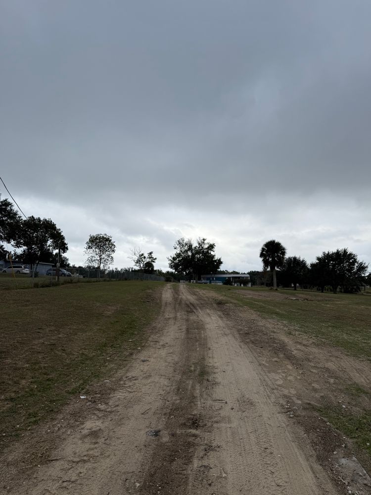 All Photos for Amerigrown Tree And Lawn in Apopka, FL