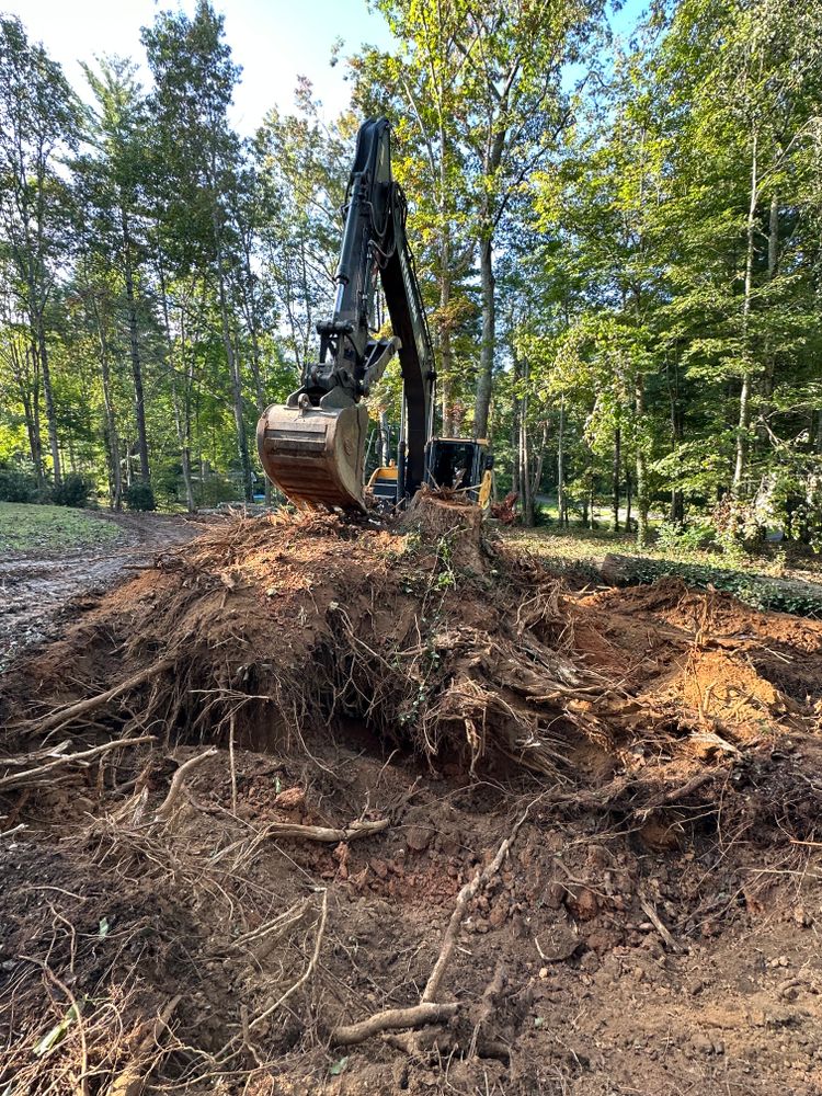 Our Stump & Debris Removal service efficiently clears unwanted tree stumps and debris from your property, enhancing its aesthetics and preparing the area for future landscaping or construction projects. for Stines and Company  in Rutherfordton, NC