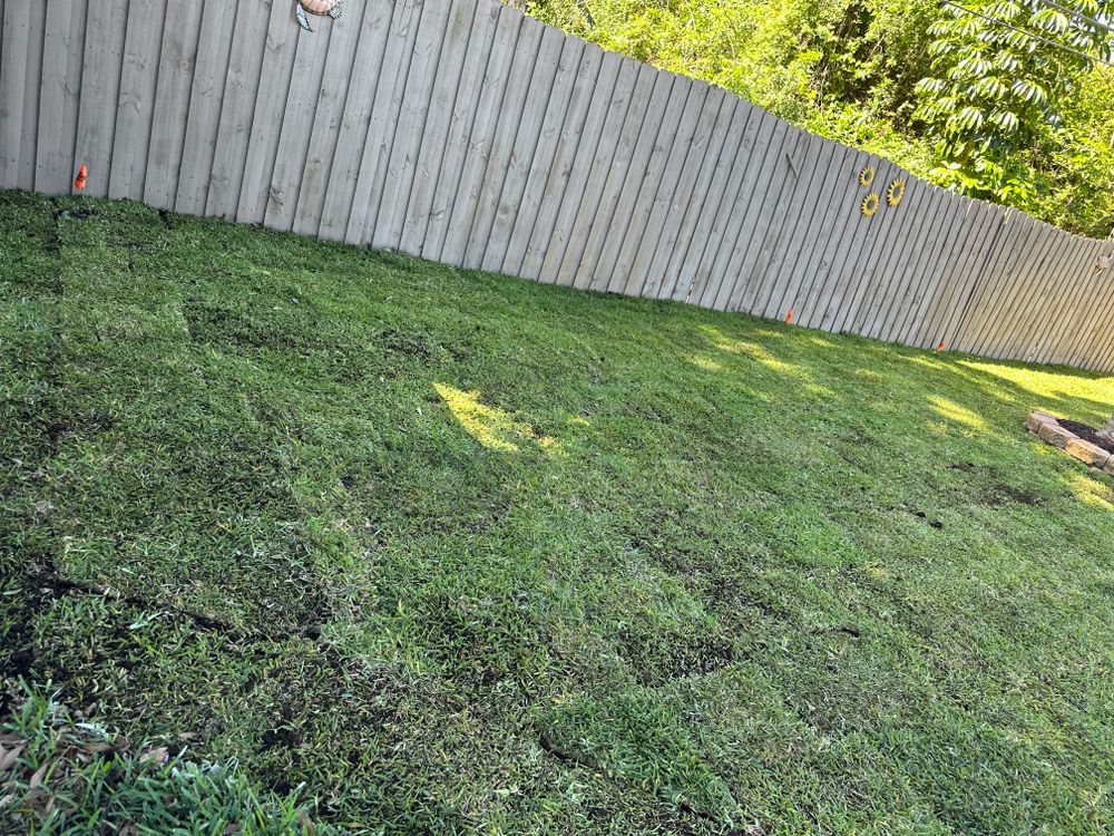 All Photos for Gulf Bay Sod in Clearwater, FL