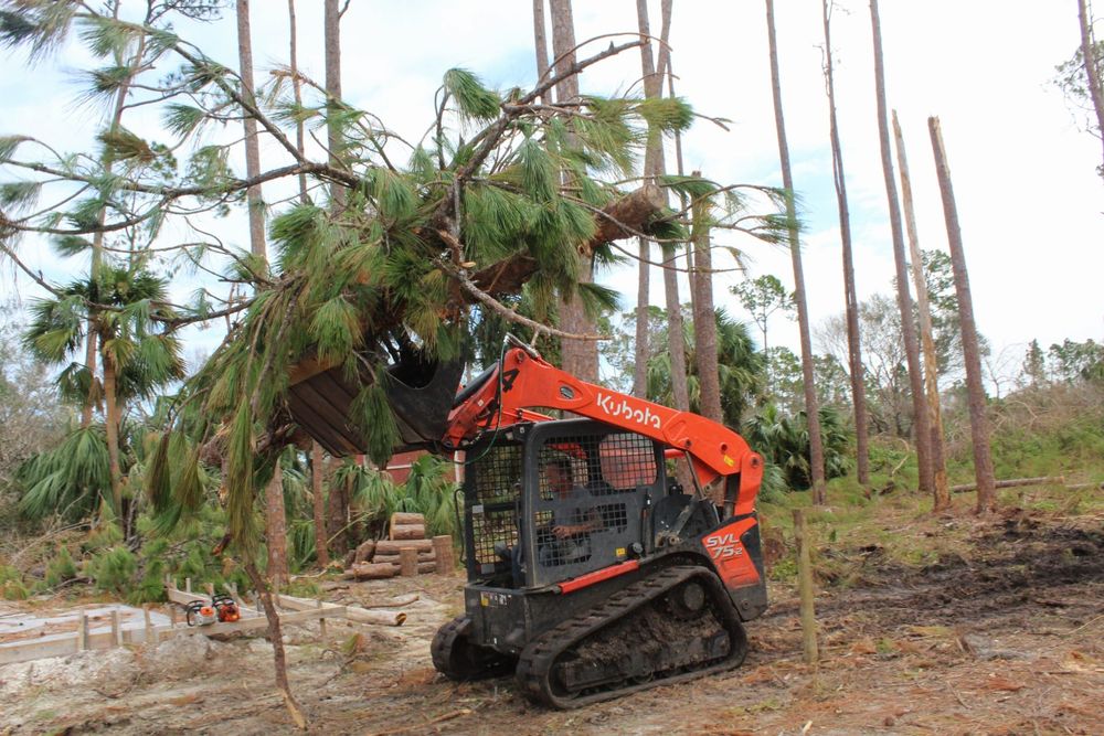 Tree Removal for American Tree Masters in Alvin, TX