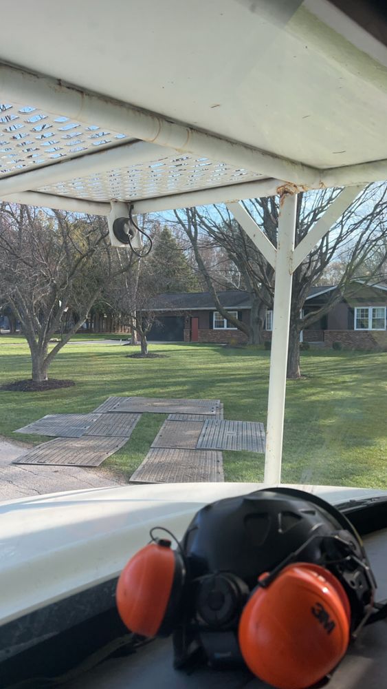 All Photos for Fransen's Tree Service  in Freeport, IL