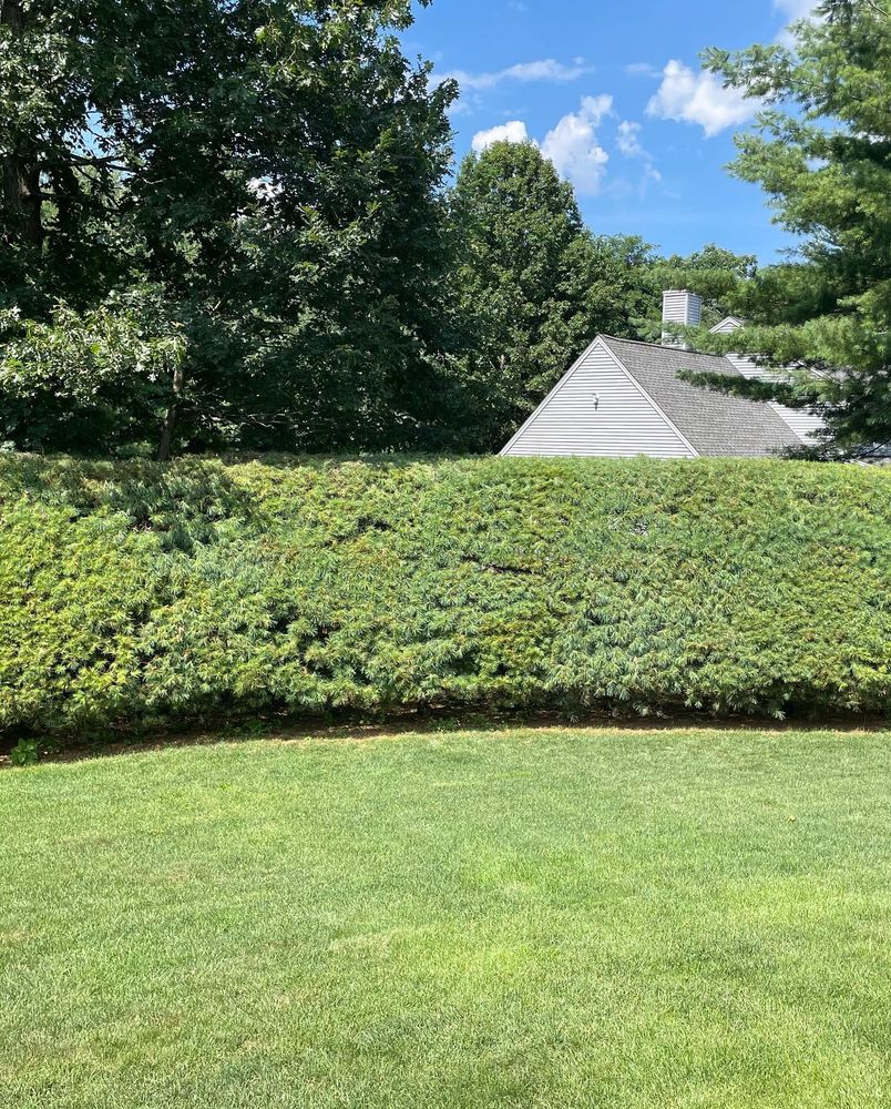 Lawn Care for B&L Management LLC in East Windsor, CT