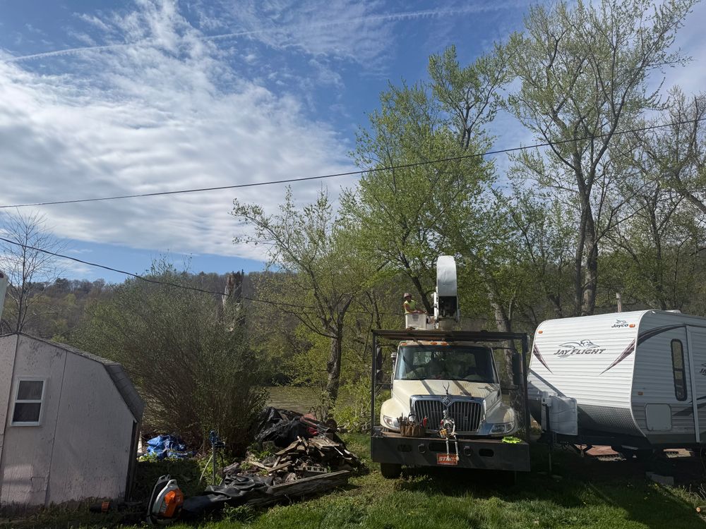 All Photos for All American Tree Services LLC in Back Mountain, PA