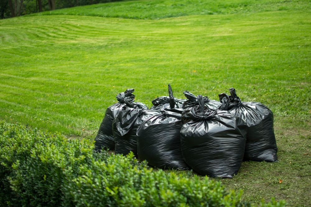Our trash removal service ensures a clean, clutter-free yard by efficiently clearing away debris and waste following tree work, leaving your property pristine and enhancing its overall appearance. for O'Donnell Tree and Handyman Services in Pine Ridge, FL