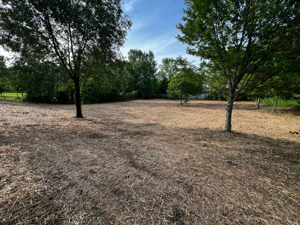 All Photos for Michael Way Acres in Woodlawn, TN